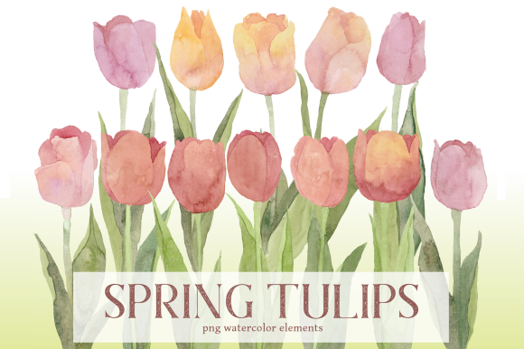 Pale Spring Tulips Watercolor Floral Set: A Versatile Addition to Your Creative Toolkit